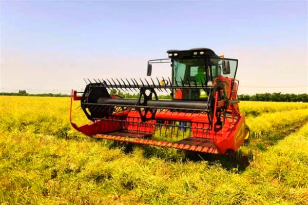 “三夏”农机作业技术要点，施行维护性耕作