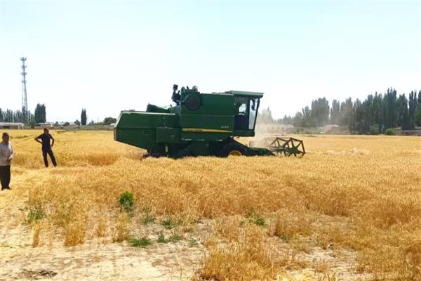 “三夏”农机作业技术要点，施行维护性耕作