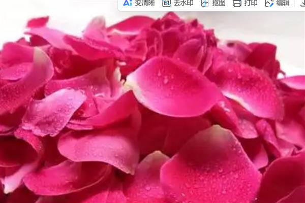 玫瑰花瓣的用途，可制作玫瑰花茶