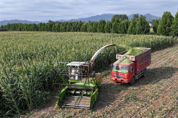 “三夏”农机作业技术要点，施行维护性耕作