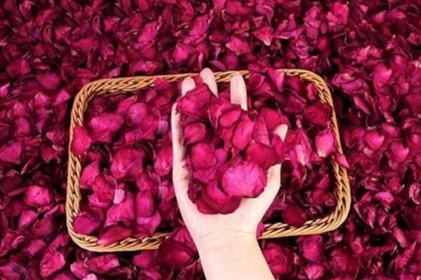 玫瑰花瓣的用途，可制作玫瑰花茶