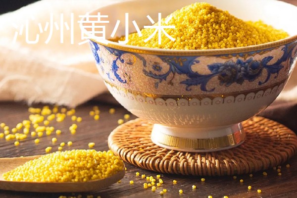 中国最好的小米品种,有沁州黄小米、龙山小米等