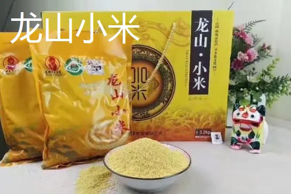 中国最好的小米品种,有沁州黄小米、龙山小米等