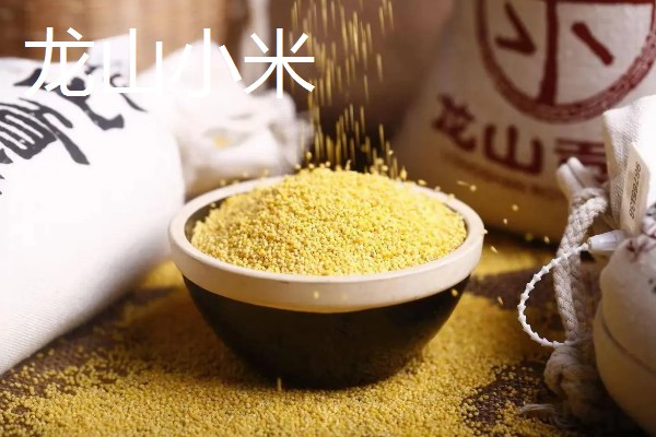 中国最好的小米品种,有沁州黄小米、龙山小米等