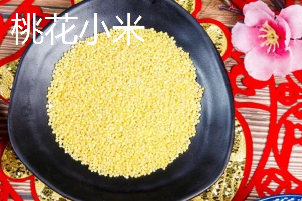 中国最好的小米品种,有沁州黄小米、龙山小米等
