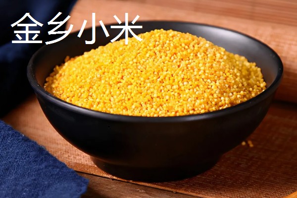 中国最好的小米品种,有沁州黄小米、龙山小米等