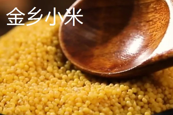 中国最好的小米品种,有沁州黄小米、龙山小米等