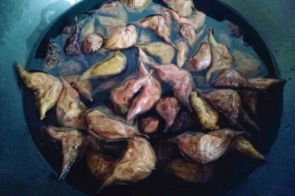 菱角的剥壳方法,先煮后剥更简单