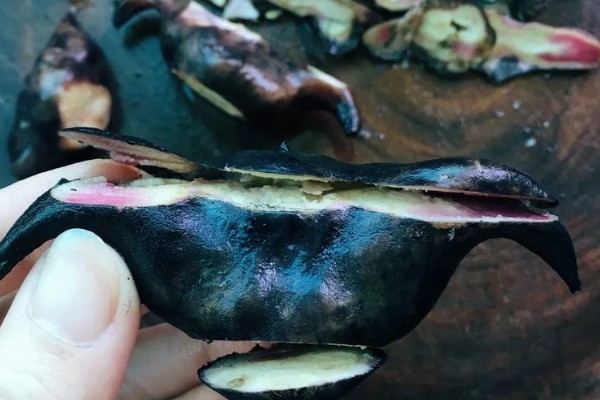 菱角的剥壳方法,先煮后剥更简单