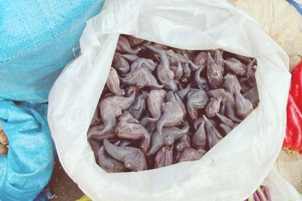 菱角的剥壳方法,先煮后剥更简单