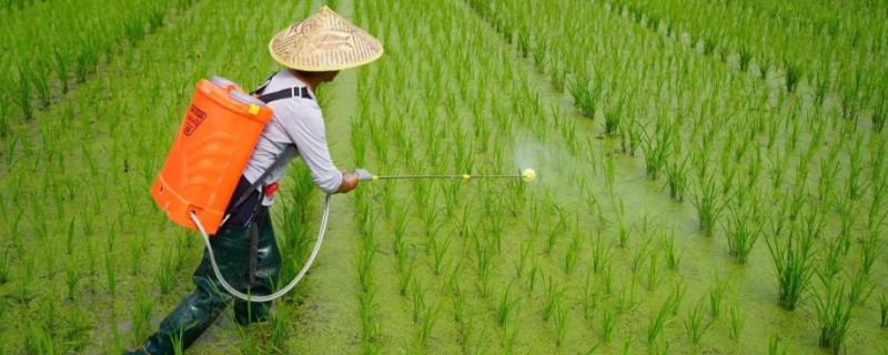 农田化学除方法，以下6种方式具有不错的效果
