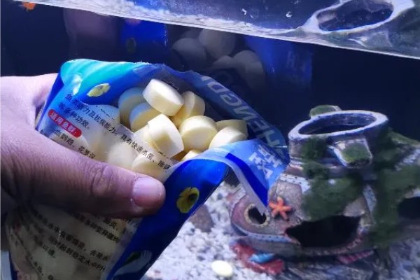 冷水鱼身上有白点怎么治疗，换水通常隔一天换一次