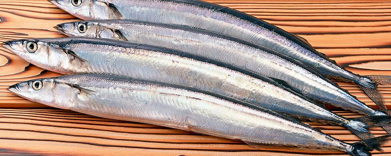 带鱼是不是野生的，市场上的带鱼以野生种为主