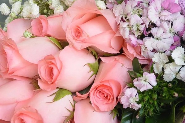 粉玫瑰的花语，寓意初恋、感动等