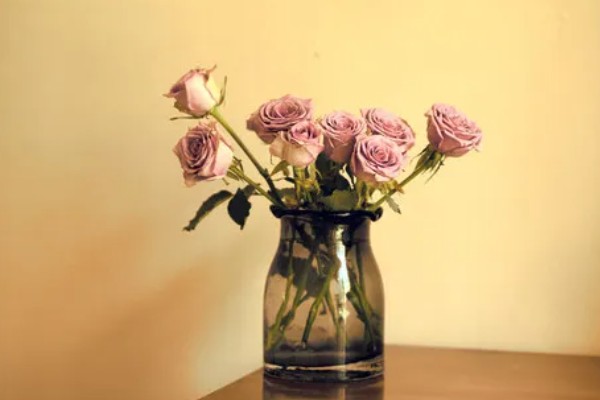 粉玫瑰的花语，寓意初恋、感动等