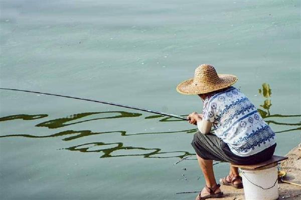 伊势尼7号钩搭配几号子线,通常要搭配2.5号的子线