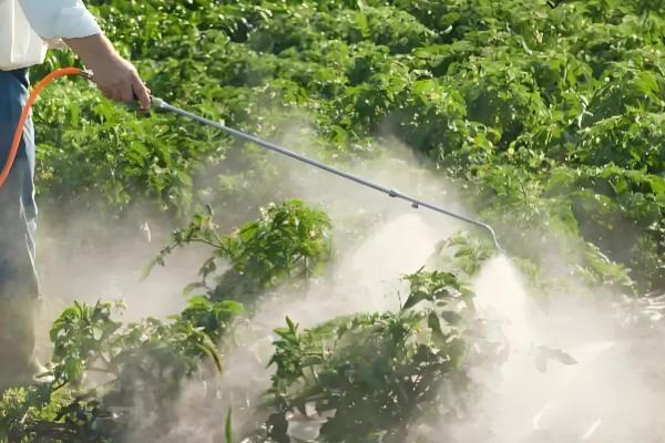 敌草快有哪些使用注意事项，切勿对作物幼树进行直接喷雾