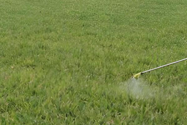 敌草快有哪些使用注意事项，切勿对作物幼树进行直接喷雾