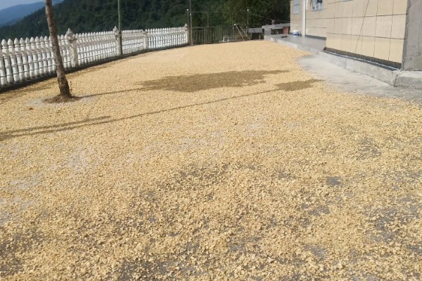 怎么处理过期的猪饲料，可采用晾晒法、蒸煮法等