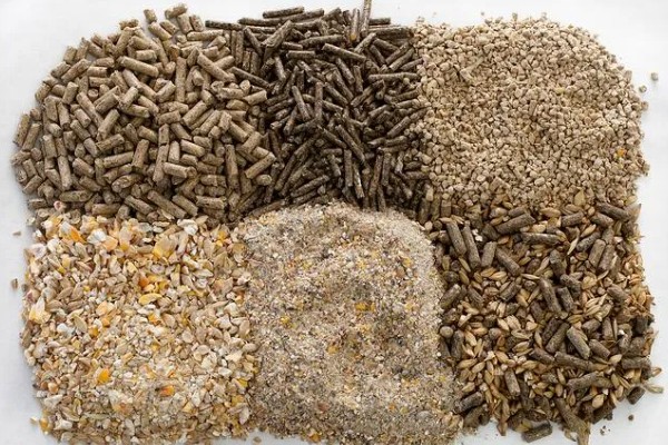 怎么处理过期的猪饲料，可采用晾晒法、蒸煮法等