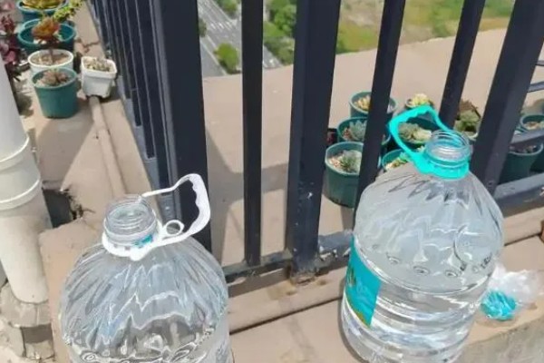 新买的鱼缸怎么开缸，首先要做的是消毒