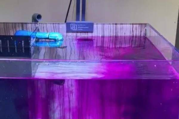 新买的鱼缸怎么开缸，首先要做的是消毒