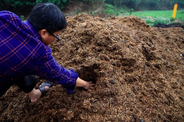 花生麸做肥料的优点有哪些，可以改善土壤结构