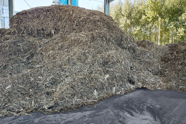 羊适合吃玉米秸秆还是芦苇，玉米秸秆含有的营养更多