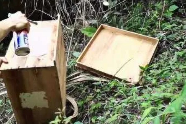 蜜蜂的春繁管理技术,春繁期间一定要保证蜂多于脾