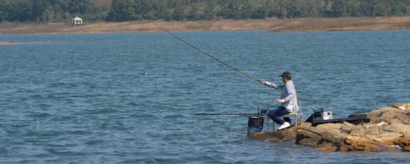 深水区可以钓鱼吗，可以在深水区进行