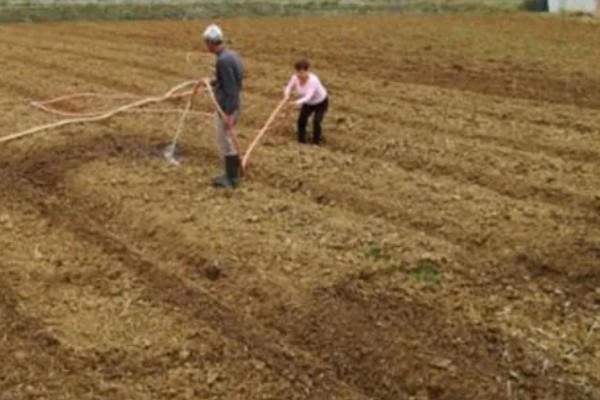 桃树种子的育苗方法，选择在春季4到6月份进行