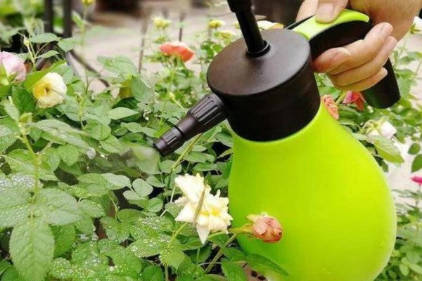 花土板结怎么解决,通过浸水的方式快速的解决