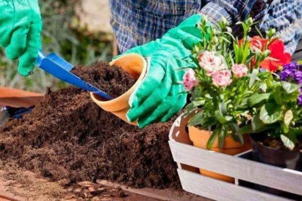 花土板结怎么解决,通过浸水的方式快速的解决