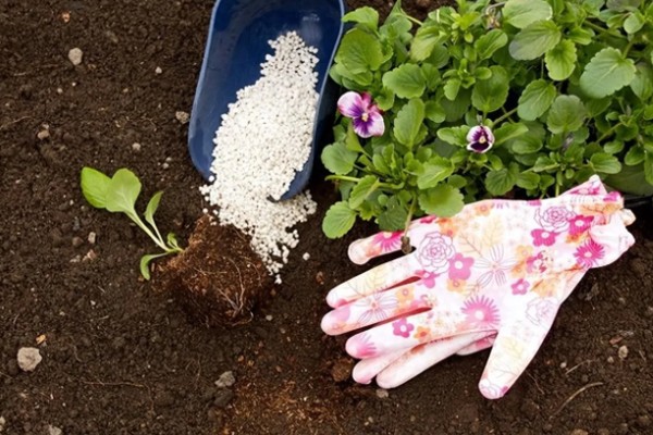 花土板结怎么解决,通过浸水的方式快速的解决
