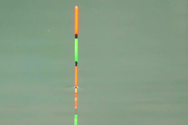 钓罗非鱼选择哪种漂，芦苇制作的浮漂被经常使用