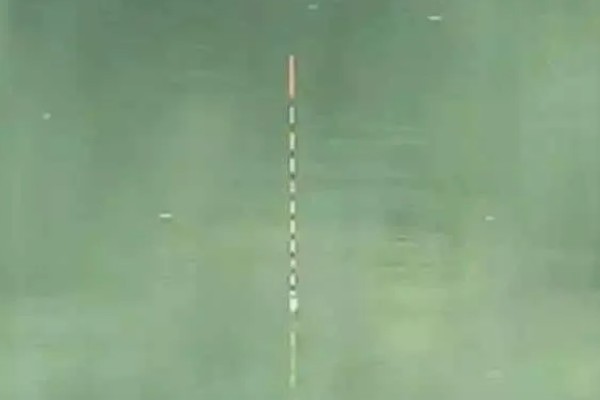 钓罗非鱼选择哪种漂，芦苇制作的浮漂被经常使用