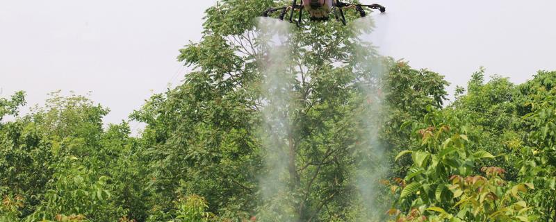 使用嘧螨酯要注意什么，要避免污染水源和池塘