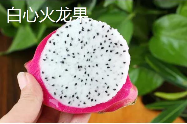 火龙果有什么品种，主要分为黄皮火龙果、红心火龙果等5种