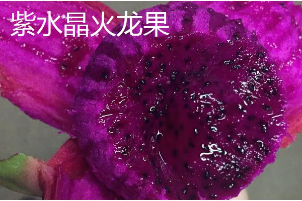 火龙果有什么品种，主要分为黄皮火龙果、红心火龙果等5种