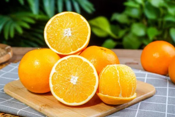 冰糖橙的管理技术,在定植之前施加充足的肥料