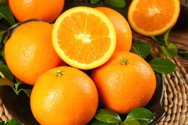 冰糖橙的管理技术,在定植之前施加充足的肥料