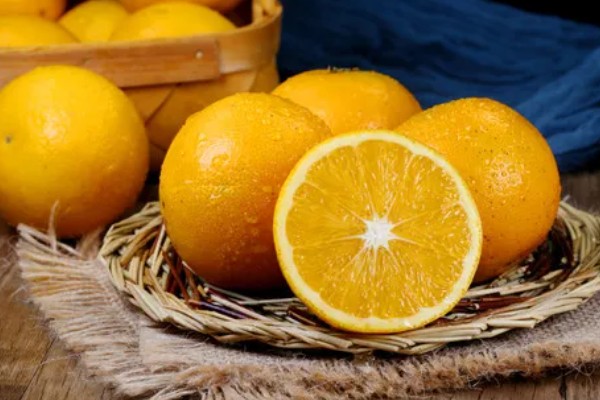 冰糖橙的管理技术,在定植之前施加充足的肥料