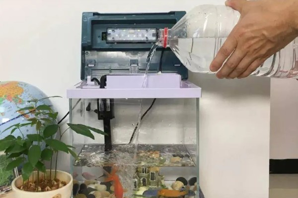 金鱼的饲养方法，每天投喂1-2次