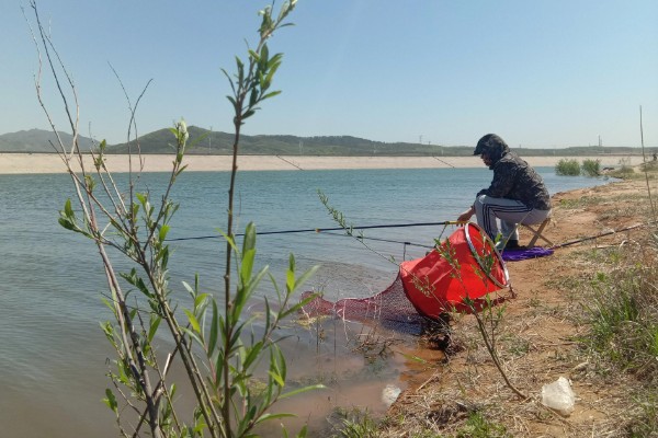 水库钓鱼选择哪种竿，海竿和手竿均可使用