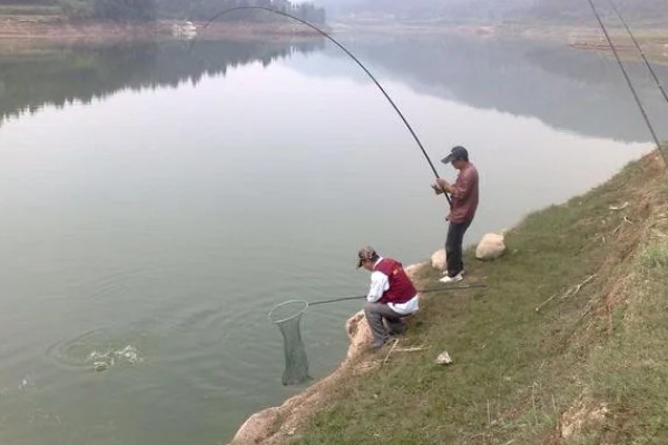 水库钓鱼选择哪种竿，海竿和手竿均可使用