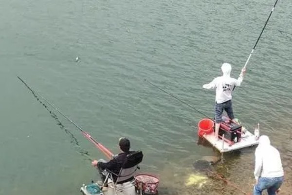 水库钓鱼选择哪种竿，海竿和手竿均可使用