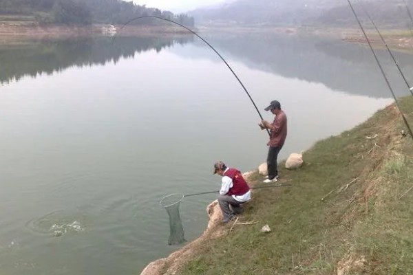 水库钓鱼选择哪种竿，海竿和手竿均可使用