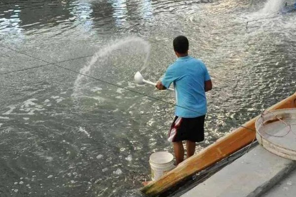 使用嘧螨酯要注意什么，要避免污染水源和池塘