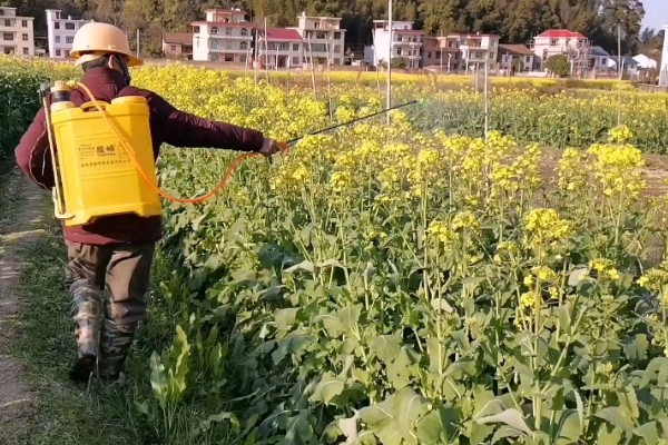 使用嘧螨酯要注意什么，要避免污染水源和池塘