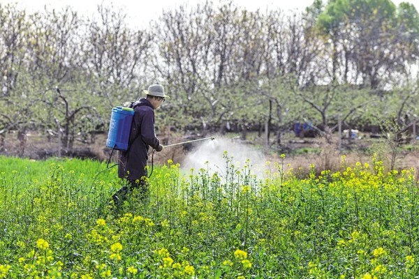 使用嘧螨酯要注意什么，要避免污染水源和池塘